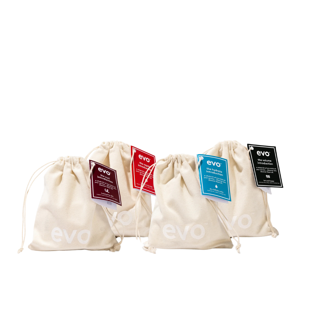 Evo Mane Introduction Travel Bags